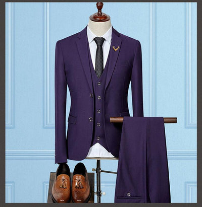 Men's 3 Piece Suit with 5 color options - TrendSettingFashions 