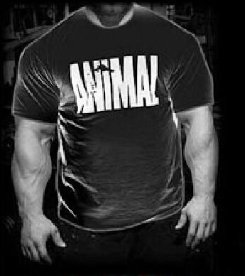 Men's Animal Gym Workout Shirt In 2 Different Styles - TrendSettingFashions 